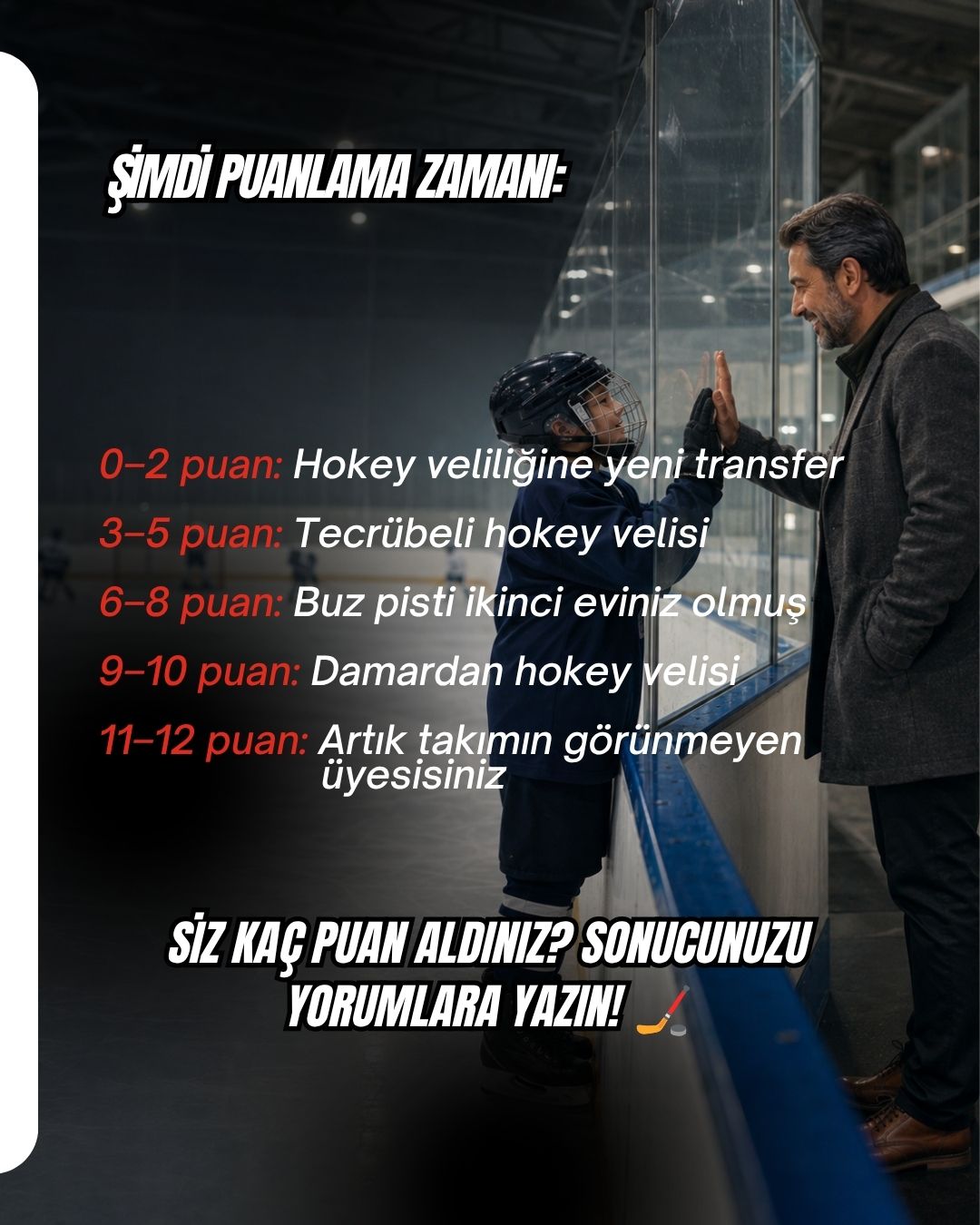 Hokey veliliği puan sonuçları